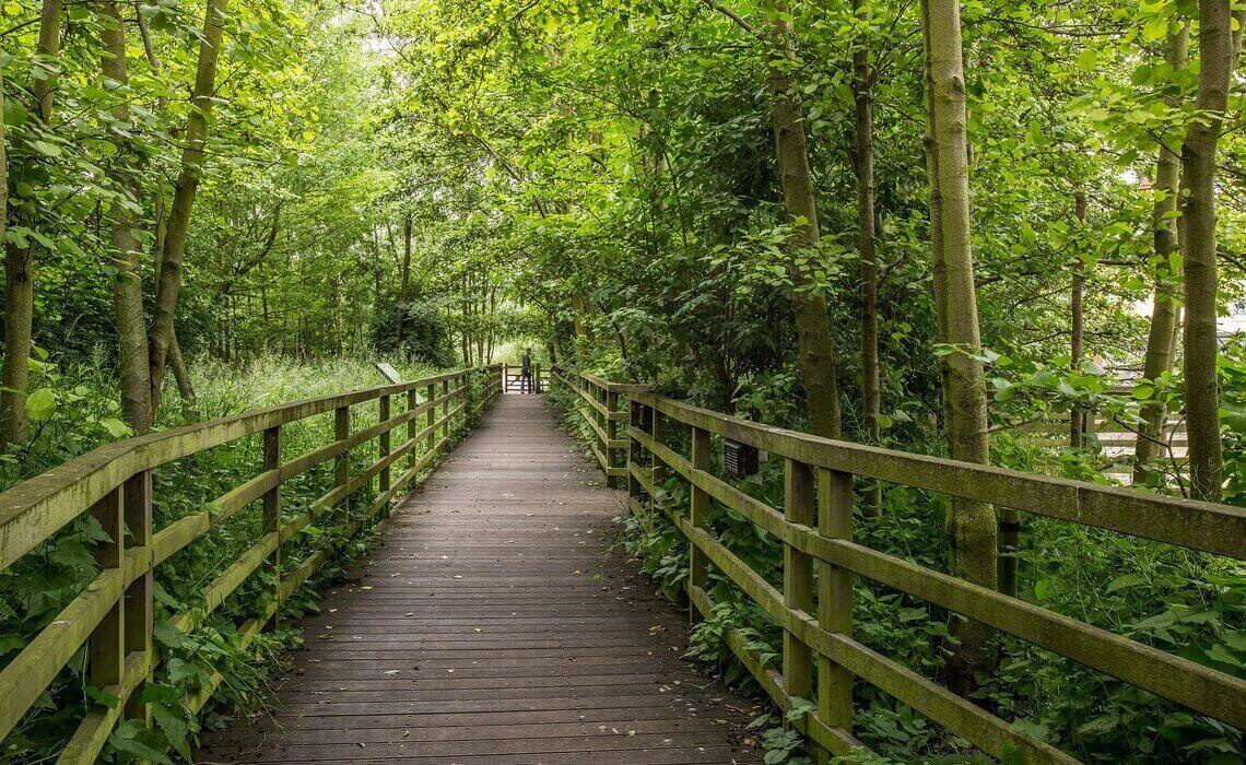 Ecology Park and local green spaces