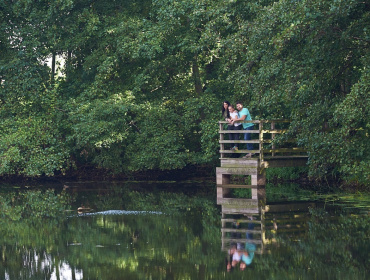 Swan lake located within the unique ecology park